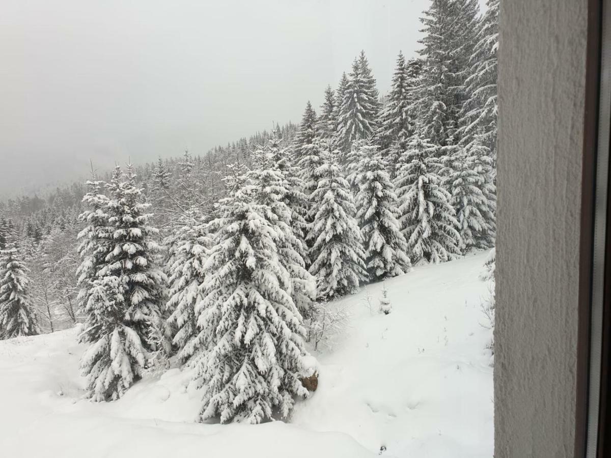 Nature House Predeál Kültér fotó