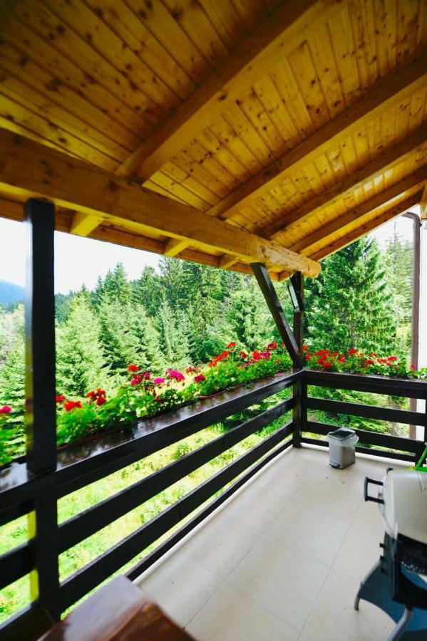 Nature House Predeál Kültér fotó